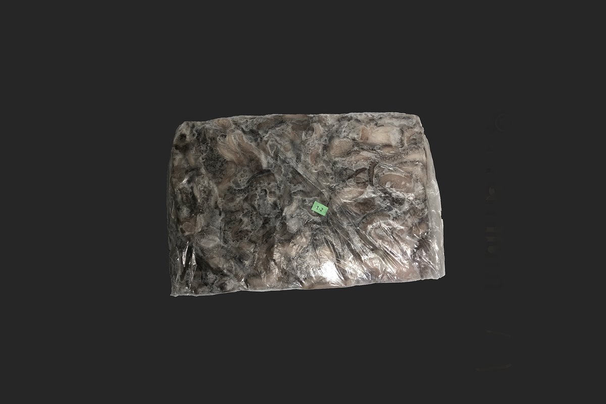 Pulpo Entero Mexicano Grande x Peso Variable