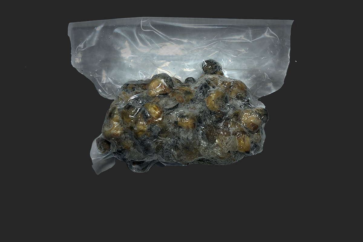 Caracol Copey x 1 Kg