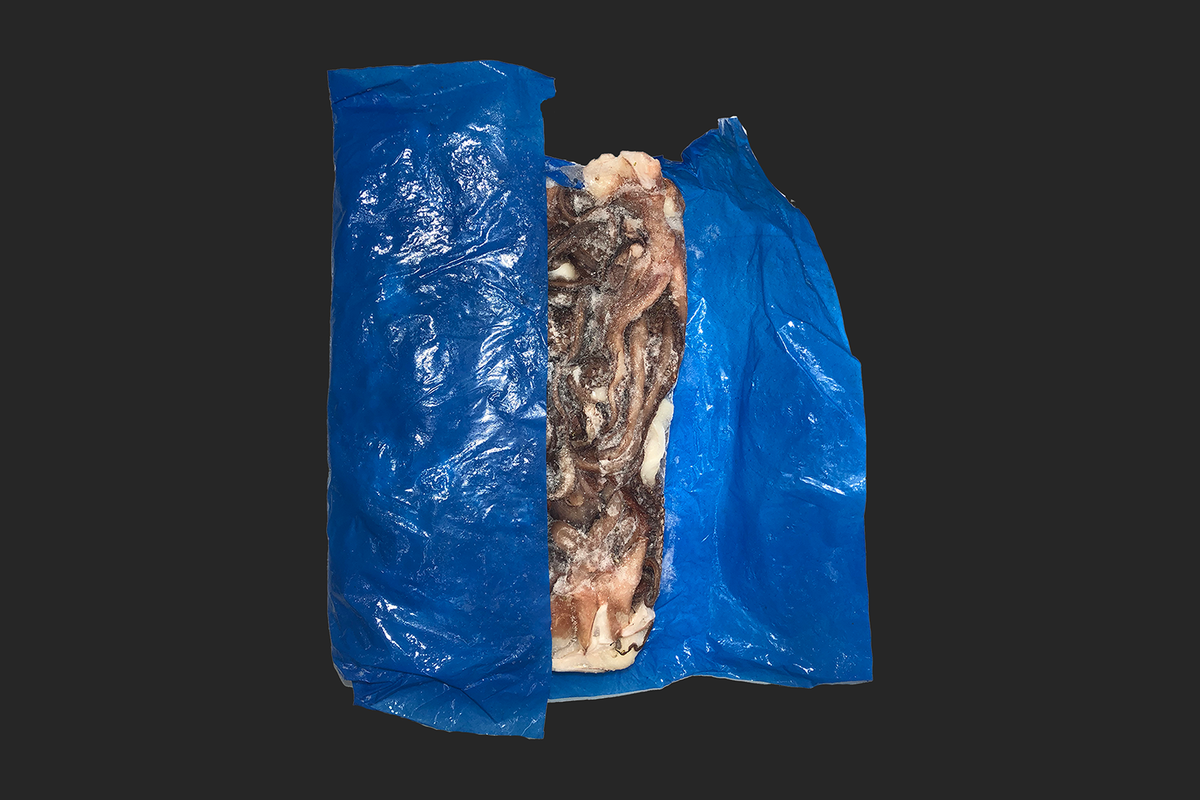 Tentáculos de Calamar Pota