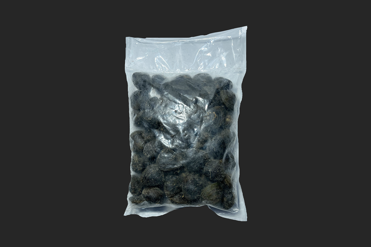 Almeja con Concha x 1 Lb