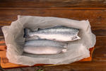 Salmón Fresco Entero sin Cabeza sin Visceras x Peso Variable