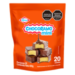Ramo Ponque Choco Mini Tajada 20 g x 20 un