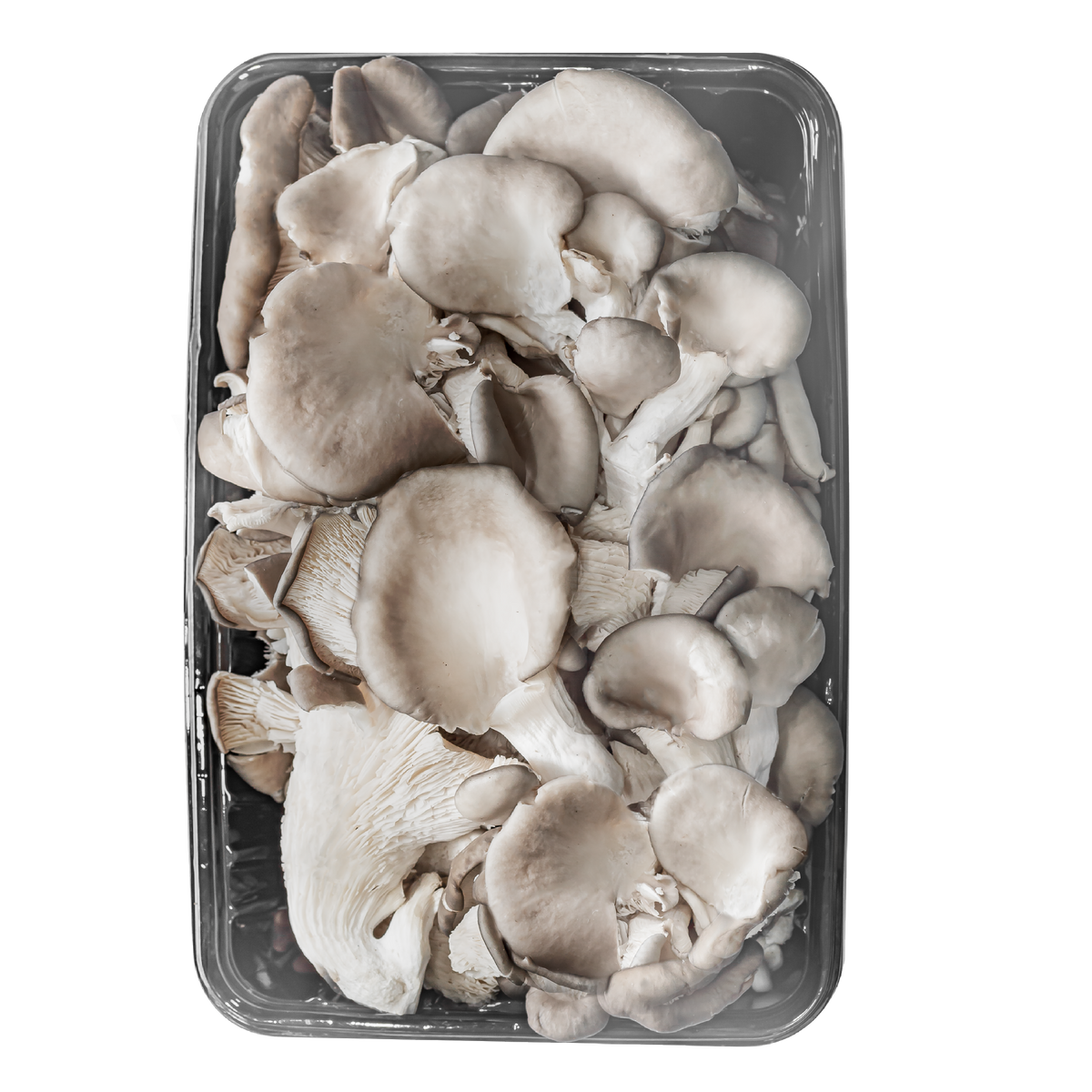 Setas Champiñones Orellana Entero x 1 kg