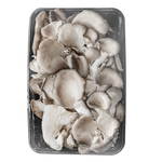 Setas Champiñones Orellana Entero x 1 kg