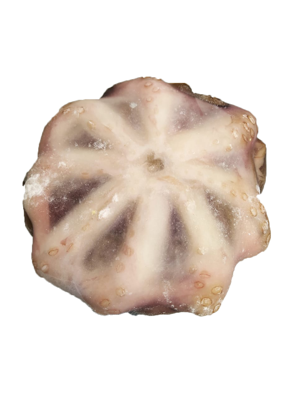 Pulpo Peruano